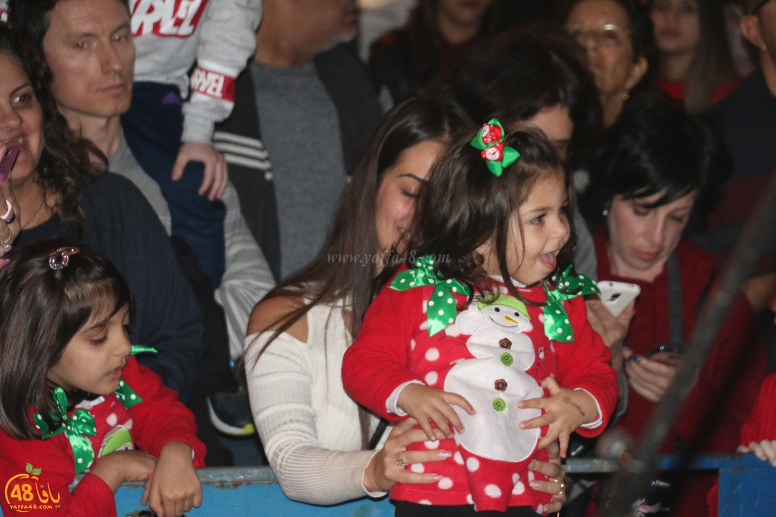 tree yaffa 5th (45).jpg